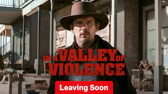 In a Valley of Violence (2016)