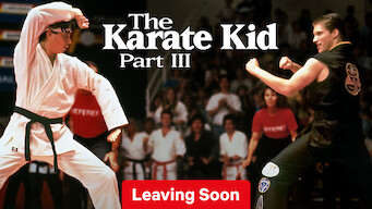 The Karate Kid Part III (1989)