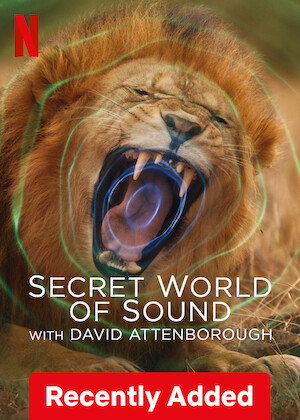 Netflix: Secret World of Sound with David Attenborough | <strong>Opis Netflix</strong><br> Nowoczesna technologia rejestruje odgłosy natury wyraźnie jak nigdy dotąd we wciągającym serialu dokumentalnym, którego narratorem jest sir David Attenborough. | Oglądaj serial na Netflix.com